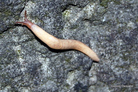 Appennino Tosco Emiliano